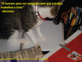/album/galeria-de-fotos/estudar-e-lutar-gif/